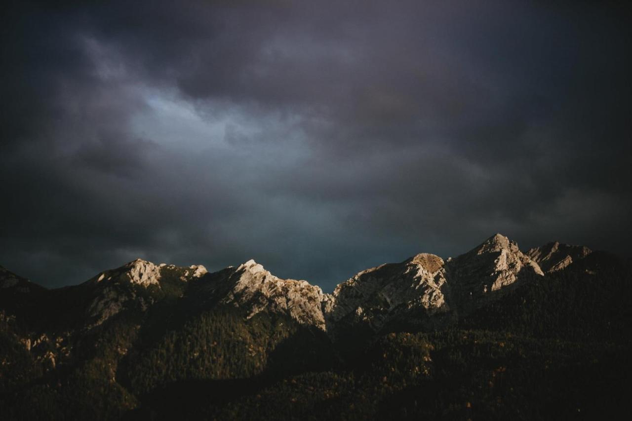 Haus Holler Διαμέρισμα Wallgau Εξωτερικό φωτογραφία