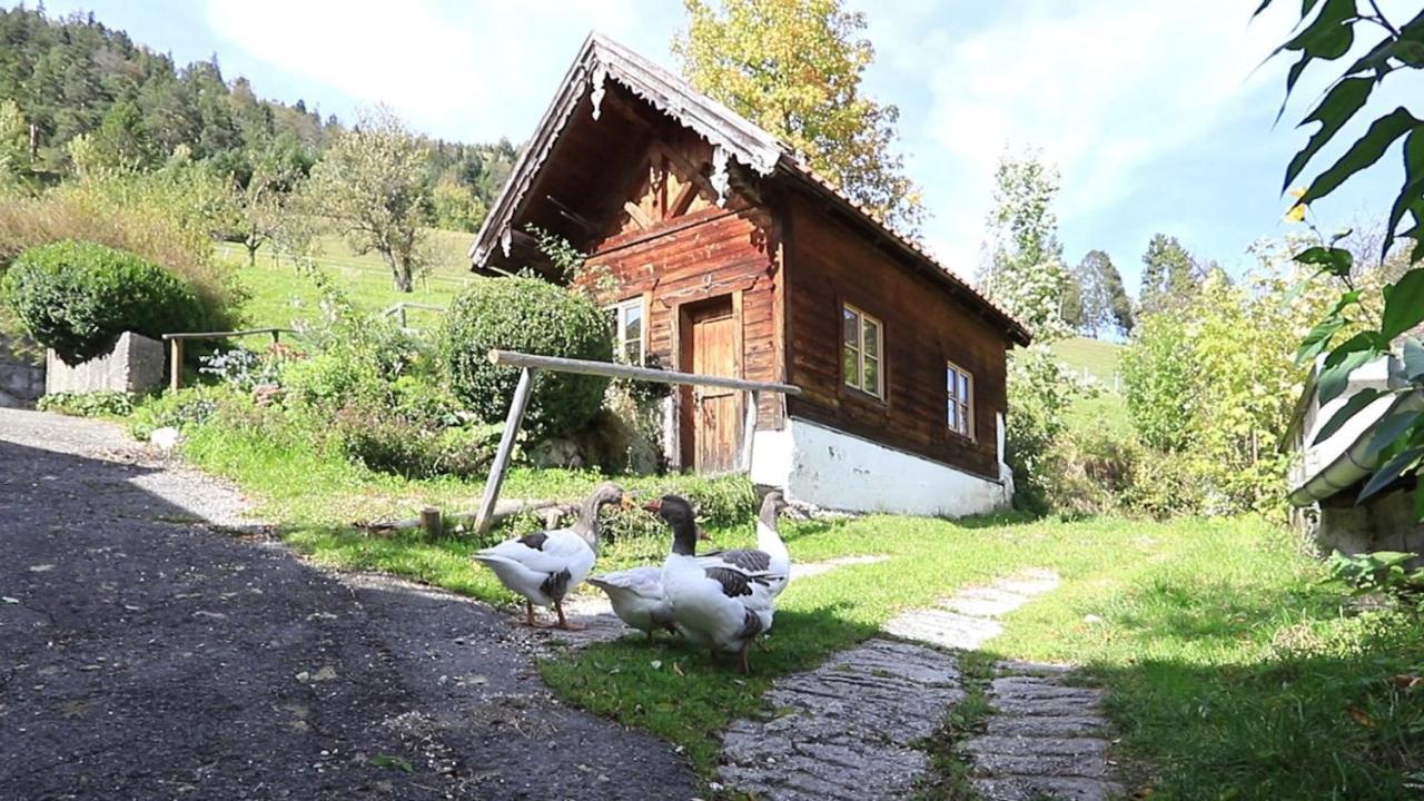 Haus Holler Διαμέρισμα Wallgau Εξωτερικό φωτογραφία